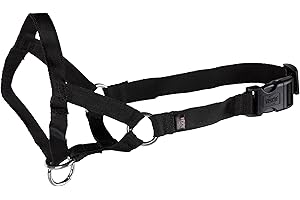 TRIXIE Top Trainer zastawa szkoleniowa L (31 cm), czarna