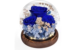 BEINHOME Wieczna róża w szkle, wieczne kwiaty, zakonserwowane róże jako prezent dla kobiet, mamy, babci, przyjaciółki, na Walentynki, Dzień Matki, urodziny, rocznicę, Święto Dziękczynienia, dekoracja główna,