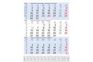 3-Monats-Planer Comfort Blau 2025: 3-Monatskalender groß I Wandplaner / Bürokalender mit Datumsschieber, Vor-und Nachmonat und Jahresübersicht I 30 x 39 cm