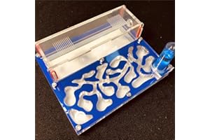 ANT GRAPE Formicarium Naturelle pour Ferme à Fourmis pour Tube à essai de Fourmis Live Humidité Grand Espace Nid de Fourmis en Acrylique, Fourmilière Insectes (Bleu)