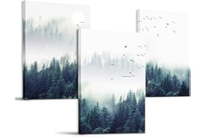 hyidecorart Tableau Decoration Murale Salon Chambre, Cloud Forest Paysage Naturel Forêt Et Oiseaux Dans Brumeuse Impression Sur Toile, Decoration Murale Salle De Bain Cuisine Bureau