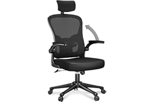 naspaluro Office Desk Chair with Flip-Up Armrest High Back Ergonomic Computer Chair with Adjustable Headrest and Lumbar Support Executive Swivel Chair for Home and Office - Black