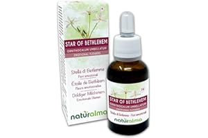 ‎NATURALMA Star of Bethlehem lub Śniedek baldaszkowaty (Ornithogalum umbellatum) Remedia kwiatowe Naturalma - Krople 30 ml - Płynny ekstrakt bezalkoholowy - Esencje kwiatowe - Wegański i bezalkoholowy