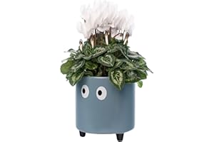 Fisura - Original Flower pots "Eyes Design", Ceramic Plant pots Indoor, Decorative Indoor planters with Legs for Cactus, Planters for Flowers and Succulents, Dimensions: 13cm x 12,5cm (Blue)