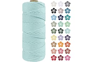 LEREATI Macrame Cord 2mm x 100m, Thick Macrame Rope Natural Cotton Rope Craft String, 3 Strand Twisted Cotton Cord Yarn for DIY Plant Hanger, Wall Hanging, Christmas Decoration (Light blue)