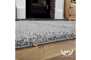 BPIL Unique Modern Large Small Non-Shedding Shaggy Rugs Soft Thick Pile Rectangle Silver Color Rug (120x170cm)