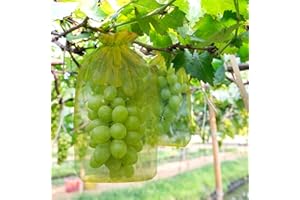 YHMALL 50 Pcs Sacchetto di Protezione Dell'Uva con Coulisse 20 x 30 cm Sacchetti Protettivi Organza per Frutta da Giardino per la Protezione da Vespe Uccelli e Altri Insetti
