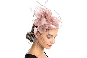 HAOJING Fascinator Hat Feather Mesh Net Veil Party Hat Ascot Hats Flower Derby Hat with Clip and Hairband for Women…