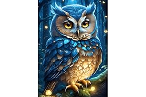 DPHERO Baby Owl Diamond Painting Kits for Adults,5D Owl Diamond Art Kits for Kids Beginners,Round Full Drill Dreamland Diamond Painting Art,DIY Paint with Diamonds Gem Painting Art 12x16 inch