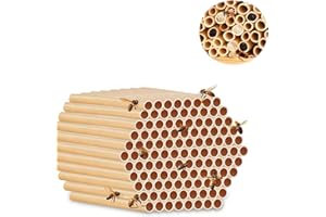 AXOBOG 100 STK Wildbienen Nisthülsen, 20cm Länge, Umweltfreundliche Bambus-Röhren Füllmaterial, Nachfüllpackung für Insektenhotel Solitärinsekten, Naturschutz Garten