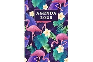 Agenda 2026: giornaliera, 365 giorni, un giorno per pagina ,con orari 07:00 To 22:00, Pianificatore 12 Mesi 2026 italiano grandi | A4