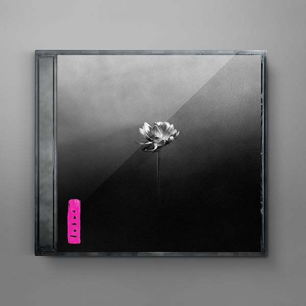 その他 Morning White Dove [CD] Amazon.co.jp: Morning Dove White: ミュージック