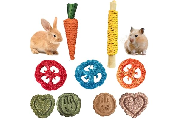 OUDQFCJ Jouets pour Lapin Nain, Lot de 9 Jouets en Timothy Hay Naturel, Accessoires Améliorer la Santé Dentaire, Jeux et à Mâcher, pour Lapins, Hamsters, Cobayes, Marmottes, Ecureuils et Chinchillas