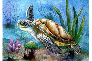 DCIDBEI Pintura de diamantes cuadrados 5D,pintura de diamante de cristal Tortuga, bordado, bordado punto de cruz manualidades cuadros 5d, square diamond painting lienzo para decoración de pared, 30 x 40 cm