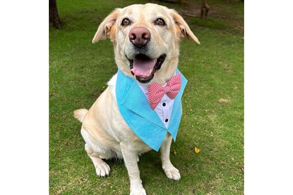 Dog-O-Bow Aqua Stripe Tuxedo Vest Bandana for Dogs Stylish, Comfortable Accessory (Extra Large)