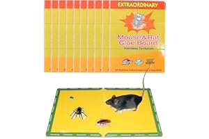 TECHEXTRA Trappola per Topi Grandi, Piccoli, Kit 10 Trappole per Topi, Colla Topi Super Adesiva, più Forte, Cattura da Interno ed Esterno, NEW 2021 Topicida Professionale Non Elettrica, Topi Domestici, Ratti