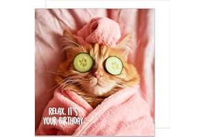 Edition Seidel Kwadratowa kartka urodzinowa premium z kopertą. Kartka z życzeniami Happy Birthday Billet Animal Kartka Mężczyzna Kobieta Fajny Kot Humor Zabawny Relaks (GQ150 SW024)