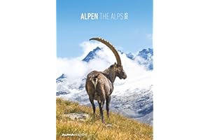 ‎ALPHA EDITION Alpha Edition - Alpen 2025 Bildkalender, 23,7x34cm, Wandkalender mit Platz für Notizen und vielen Infos, Bilder aus den Alpen, deutsches Kalendarium und Ferientermine DE/AT/CH