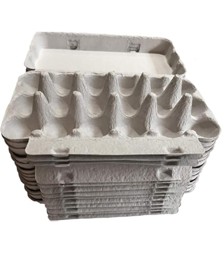 Boîtes Vectorielles Avec Carton D'oeufs De Caille Ou Récipient En