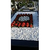 Asenya Mezar Taşı 11 Kg 2-4 Cm Beyaz Dolomit Taş Dere &Ccedil;akıl Taşı Bah&ccedil;e S&uuml;s Taşı Mezar S&uuml;sleme Taşı