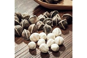 Haloppe 50 semi di frutta di moringa per piantare il giardino di casa, semi di moringa da giardino profumato per cortile Seme