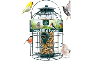Pelle & Sol Bird Feeder - Seed Feeder for Wild Birds - Compact Iron Design for Bird Feeders Hanging Station - Weather Resistant, Squirrel Proof, Easy Clean, Hang Anywhere Outdoor Feeders