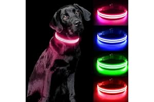 PcEoTllar Collier Lumineux Chien, Collier LED Chien Rechargeable, Collier Chien Fluorescent Etanche avec 3 Modes, Collier Chien avec Lumiere Réglable pour Petits/Moyens/Grands Chiens, Rose-S