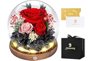 MAMAMIKO Ewige Rosen im Glas mit Led Licht, Infinity Rose, Konservierte Rosen Echt Blume, Geschenk für Frauen Mama Freundin, Valentinstag Jahrestag Geburtstag Muttertag, Rote Rose Geschenk für Sie