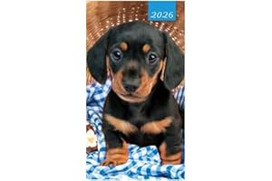 CARDS GALORE ONLINE 2026 Slim Pocket 2 Week To View Softback Dog Diary - Dachshund Sausage Dog Puppy