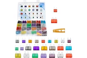 OuYi 250 PCS fusibles mini y estándar 2A 3A 5A 7.5A 10A 15A 20A 25A 30A 35A 40A 50A + 1 clip para coche camión SUV ATV UTV motocicleta carrito de golf barco moto de nieve