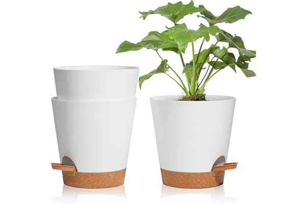 T4U 3 Pcs Pots de Fleurs en Plastique Blanc 16.5cm Auto Arrosant, Pot Plante Intérieur de Système d'arrosage Convient aux Orchidee, Basilic et Herbes Pot de Fleur