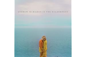 Andrew Mcmahon In The Wilderness