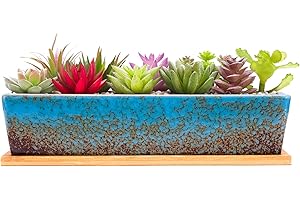 ARTKETTY 30cm Ceramic Succulent Plant Pots, Modern Long Rectangle Flower Plant Containers with Tray, Shallow Cactus Bonsai Window Box with Drainage for Indoor/Outdoor Home Decor(Blue)