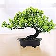 Eytzpto Artificial Bonsai Tree, Artificial Plants, 32 * 24cm Indoor Small Fake Plant Decoration with Pots for Home Decor Indoor Bookshelf Office Desk Bathroom Farmhouse Decor