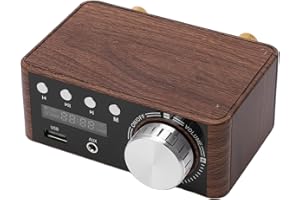 Okuyonic Mini Amplificatore di Potenza Bluetooth 5.0, Venature del Legno 50W e 50W DC9V-24V Amplificatore Digitale HiFi Unive