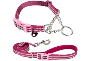 Petiry Half Choke Dog Collar And Lead Set Pink,Reflective Dog Collar Leash with Safety Quick Release Buckle For Medium Dogs(Hotpink,Medium)