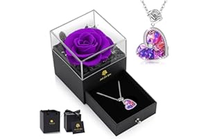 LEITON Ewige Rose mit Kristall Halskette, Infinity Rosen Box, Echte Rose Geschenkset Geschenke für Frauen, Konservierte Rose für Valentinstag Muttertag Hochzeit Jahrestag Geburtstag Geschenk für Sie