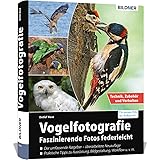 Vogelfotografie: Faszinierende Fotos federleicht