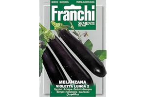Franchi Sementi Spa Melanzana Violetta Lunga 2