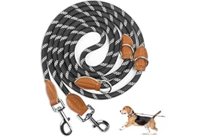PETCOOZ Smycz dla psa regulowana 3 m, dla średnich i dużych psów (15-60 kg), odblaskowa smycz z 2 karabińczykami, podwójna smycz z wytrzymałego nylonu, ekstremalna siła 200 kg