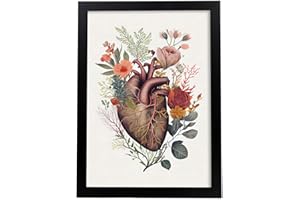 Nacnic Póster Anatómico de un Corazón sobre Fondo Blanco. Colorida ilustración de partes del cuerpo humano con flores, A4 Marco Negro