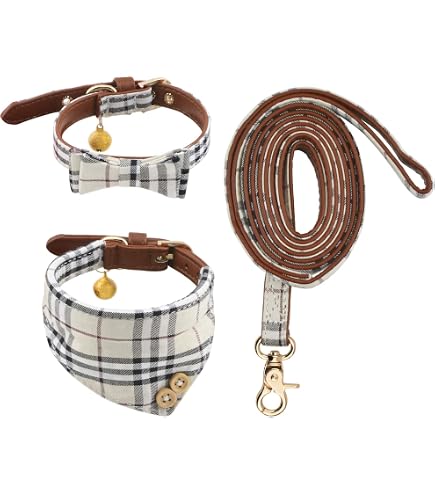 Unique Style Paws Hundehalsband Mit Fliege – Blauer Streifen & Blume, Weich, Größe XS