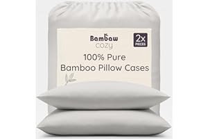 Bambaw - Poszewka na poduszkę 50 x 70 cm (zestaw 2 sztuk), 100% bambusowa poszewka na poduszkę, jasnoszara, naturalnie hipoalergiczna i oddychająca, dla skóry i włosów