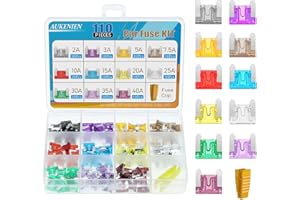 AUKENIEN Fusible Voiture Micro Set 11 Valeurs 110 pièces 2A 3A 5A 7,5A 10A 15A 20A 25A 30A 35A 40A Car Fuses Petit Fusibles Automobile pour Auto Moto Accessoire Fusible Lame Plat Scooter et Clip