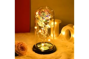 OEAGO Mothers Day Lights Gifts for Mum from Daughter Son, Rose Flower Lights Mum Birthday Gifts for Women Wife Grandma on Christmas Mothers Day