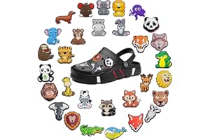 DIWSO 16-38 PCS Schuhdekoration Croc Charms für Mädchen Frauen Jungen Erwachsene, Geschenk für Geburtstag Party Favors