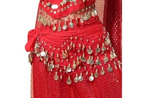 SDKZBFC Belly Dance Hip Scarf ，98 Gold Coins Chiffon Belly Dance Hip Scarf Dance Skirt Belt Waist Chain