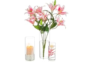 Vase Cylindrique en Verre Decoratif Transparent - Inweder Lot de 3 Vases Fleur Photophore Bougeoirs Hurricane Bougeoir Verre pour Bougies Pilliers Bougies Flottantes Centres Table Mariage 15+20+25cm