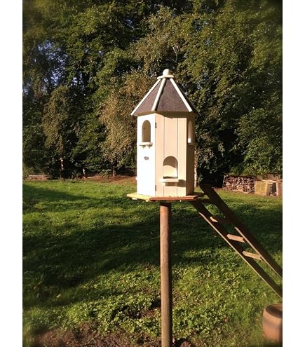 Offener Nistkasten Aus Zeder Für Tauben – 35,6 X 27,9 X 15,2 Cm – Wetterfest, Rustikales Design
