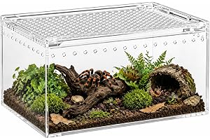 Akrylterrarium, miniterrarium, litet med 360° panoramautsikt – rymningssäker, lätt att rengöra insektslåda för reptiler, spin